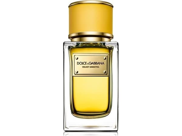 Velvet Ginestra, Unisex, Eau de parfum, 50 ml