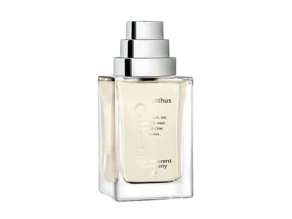 The Different Company EDT 100 ml