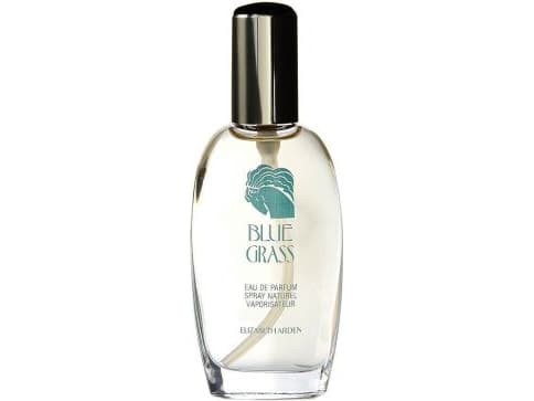 Elizabeth Arden Blue Grass Eau De Parfum 100 ml (kvinne)