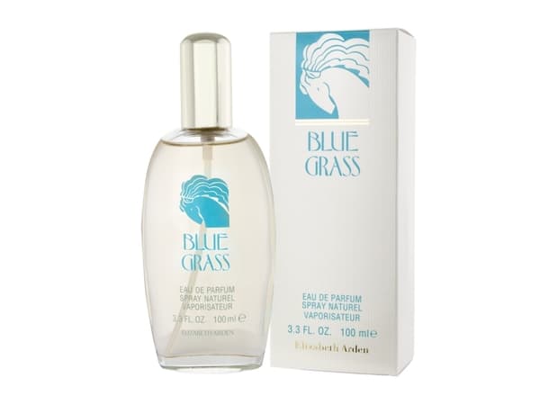 Elizabeth Arden Blue Grass Eau De Parfum 100 ml (kvinne)