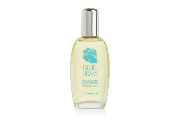 Elizabeth Arden Blue Grass Eau De Parfum 100 ml (kvinne)