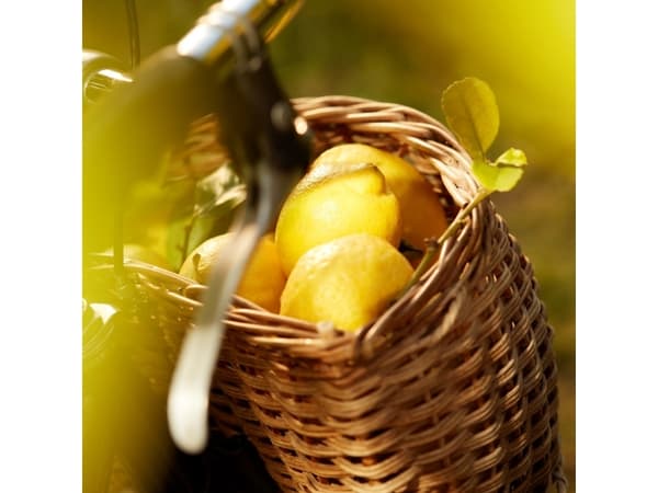 Maison Margiela Replica Under The Lemon Trees EDT U 100 ml