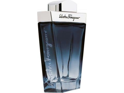 Salvatore Ferragamo Subtil 100 ml, miehet, 100 ml