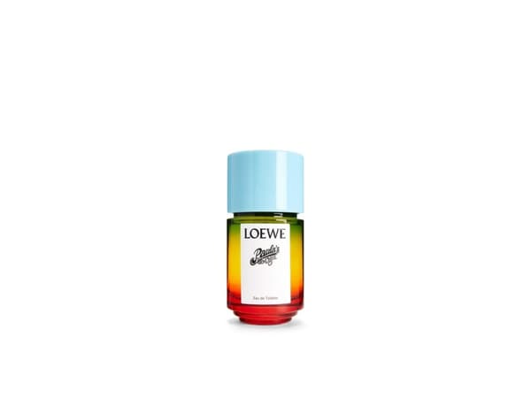 Loewe Paulan Ibiza EDT U 50 ml