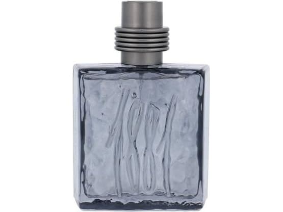 Cerruti 1881 Black Eau De Toilette 100 ml (man)