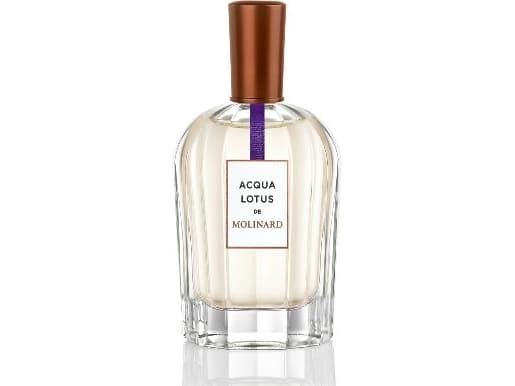 Acqua Lotus, Unisex, Eau de Parfum, 90 ml