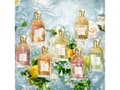 Miniatyrbilde 5 av 5: Guerlain Aqua Allegoria Orange Soleia EDT 75ml