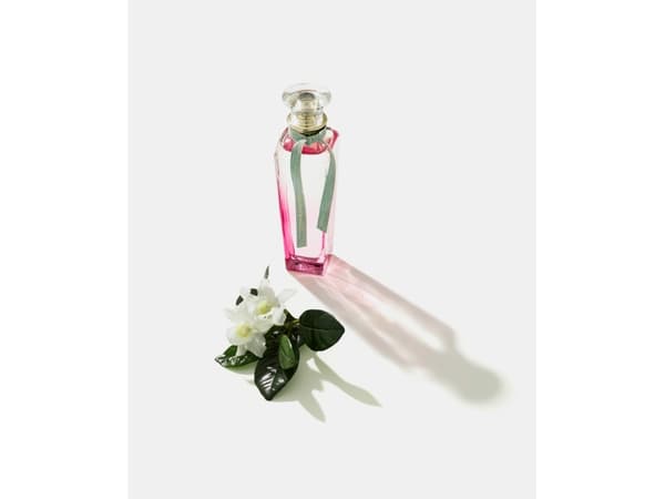 Adolfo Dominguez Agua Fresca Gardenia Musk edt 120ml