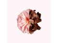 Miniatyrbilde 4 av 5: Givenchy Irresistible De Givenchy Eau De Parfum 35ml Spray