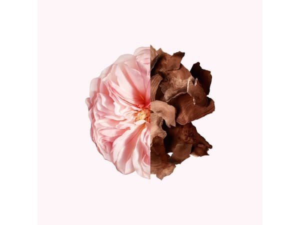 Givenchy Irresistible De Givenchy Eau De Parfum 35ml Spray