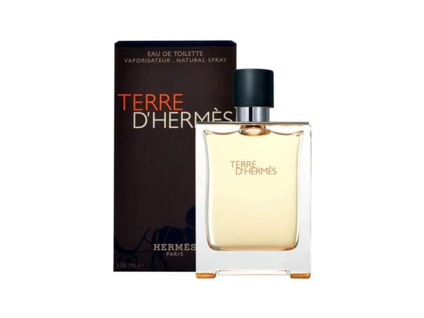 Hermes Terre D'Hermes Edt Spray - Man - 100 ml