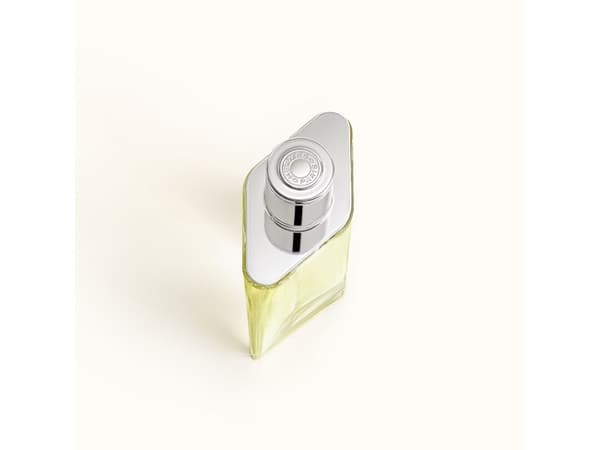 HERMES Hermes H24 Eau de Toilette 100ml