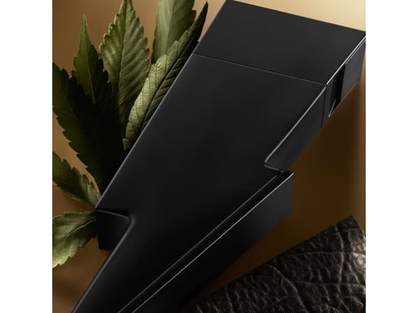Carolina Herrera Bad Boy Le Parfum EDP M 100 ml