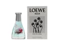 Miniatyrbilde 5 av 5: Loewe Agua Mar de Coral Eau De Toilette 50 ml (unisex)
