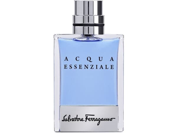 Salvatore Ferragamo Essential Water Eau De Toilette 100 ml (mann)