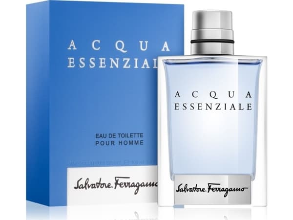 Salvatore Ferragamo Essential Water Eau De Toilette 100 ml (mann)