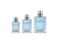 Miniatyrbilde 2 av 5: Salvatore Ferragamo Essential Water Eau De Toilette 100 ml (mann)