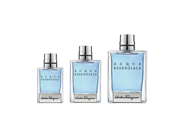 Salvatore Ferragamo Essential Water Eau De Toilette 100 ml (mann)