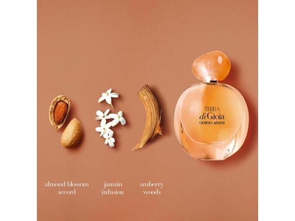 Armani Terra Di Gioia Edp Spray - Dame - 100 ml