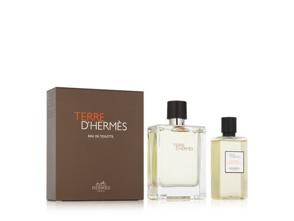 Hermès Terre D'Hermès EDT 100ml + SG 80ml (mann)