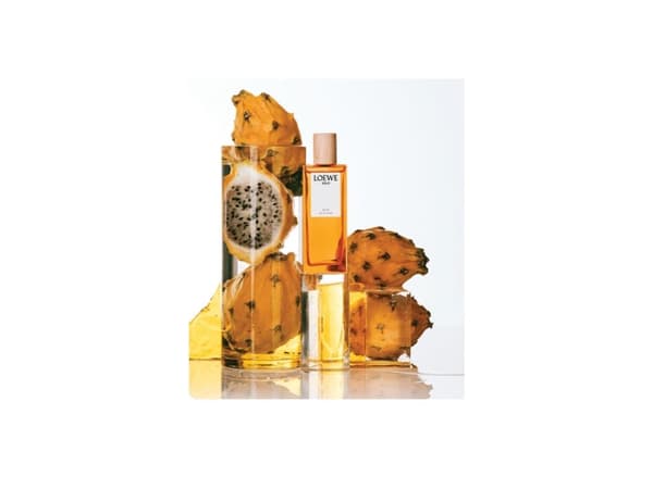 LOEWE Perfumes Solo Ella, Kvinner, 100 ml, Spray, ALCOHOL – PARFUM (FRAGRANCE) – AQUA (WATER) – ETHYLHEXYL METHOXYCINNAMATE – BUTYL..., 1 stykker