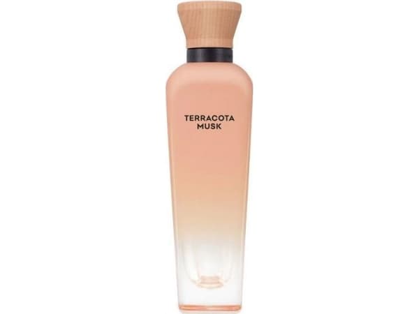 Adolfo Dominguez Terracota Musk Eau De Parfum 120 ml (woman)