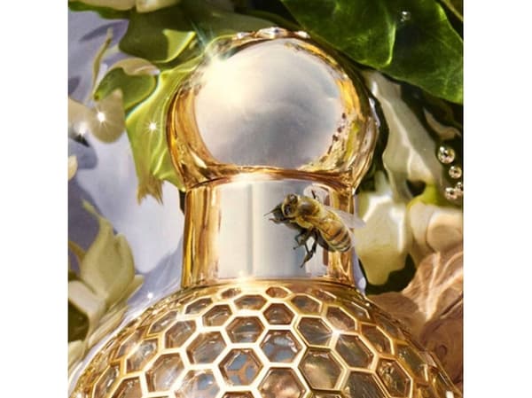 GUERLAIN AQUA ALLEGORIA BERGAMOTE CALABRIA (W) EDT/S 125ML REFILLABLE