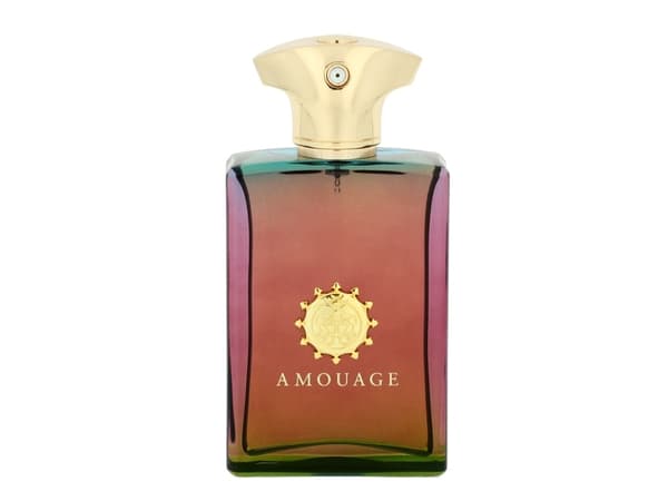 Amouage Imitation for Men Eau De Parfum 100 ml (mann)