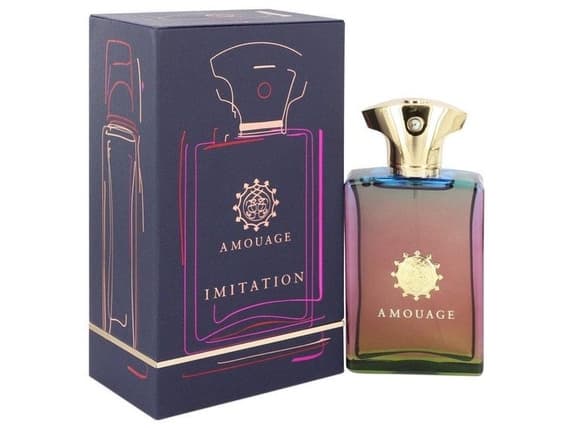 Amouage Imitation for Men Eau De Parfum 100 ml (mann)