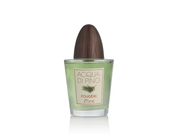 Pino Silvestre Acqua di Pino Fougère Eau De Toilette 125 ml (mann)
