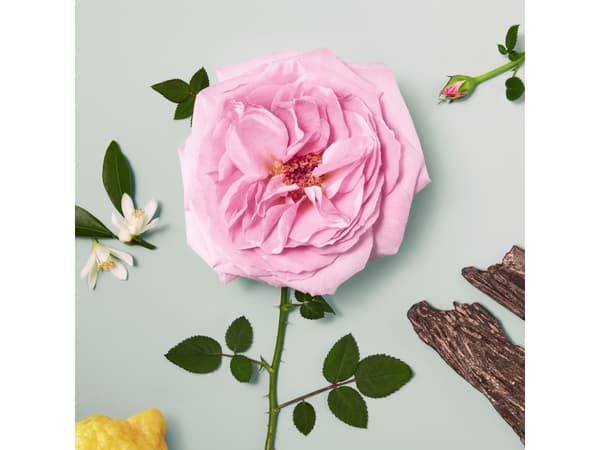 CHLOE SIGNATUR NATURELLE EAU DE PARFUM 30ML VAPORIZADOR