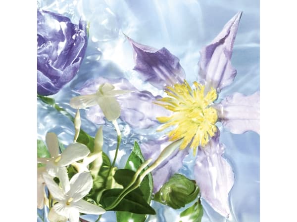 Guerlain Aqua Allegoria Flora Salvaggia, Kvinnor, Sommar, 75 ml, Engångsflaska, Melon, Violett, Jasmin, Apelsinblomma
