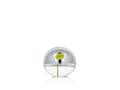 Miniatyrbilde 1 av 3: DKNY Be Delicious EDT B 30 ml