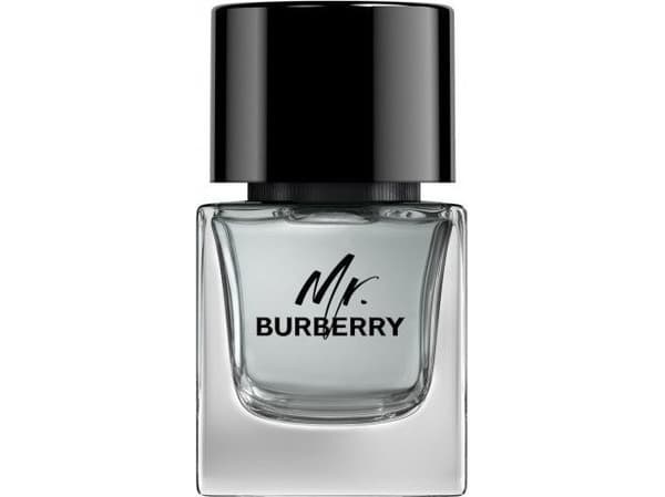 Burberry Mr. Burberry EDT M 50 ml