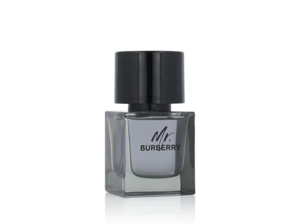 Burberry Mr. Burberry EDT M 50 ml