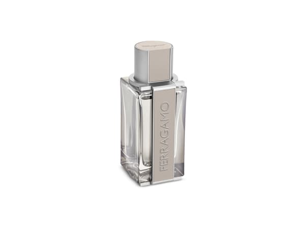 Salvatore Ferragamo Ferragamo Bright Leather Eau De Toilette 100 ml (man)