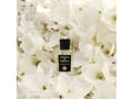 Miniatyrbild 2 av 5: Acqua Di Parma Magnolia Infinita Eau De Parfum 180 ml (kvinna)