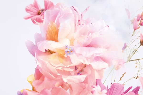 Miss Dior Blooming Bouquet de toilette voda 30 ml