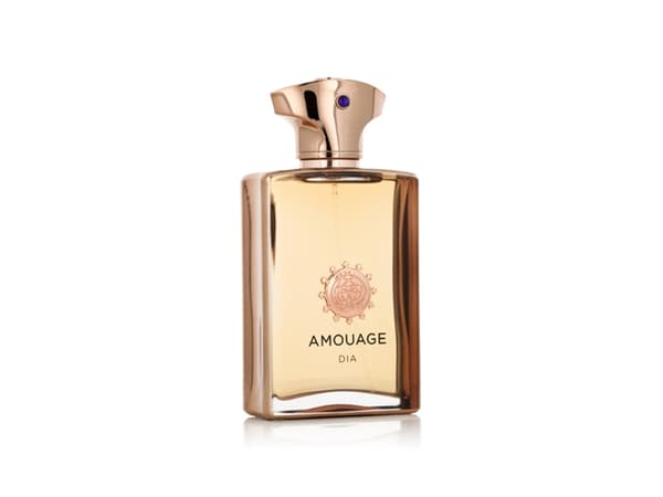 Amouage Dia Man Eau De Parfum 100 ml (man)