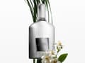 Miniatyrbilde 3 av 5: TOM FORD GREY VETIVER PARFUM (M) EDP/S 50ML