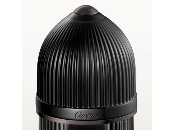 Cartier Pasha de Cartier Noir Absolu Parfum 100 ml (mies)
