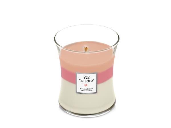 WoodWick Blooming Orchard Trilogy Medium Jar, Pyöreä, Oranssi, Vaaleanpunainen, Valkoinen, 1 kpl