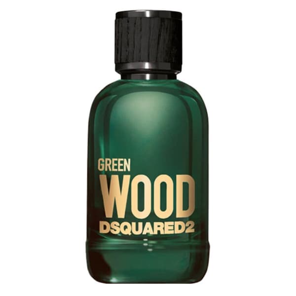 Herre parfyme Green Wood Dsquared2 EDT - 100 ml