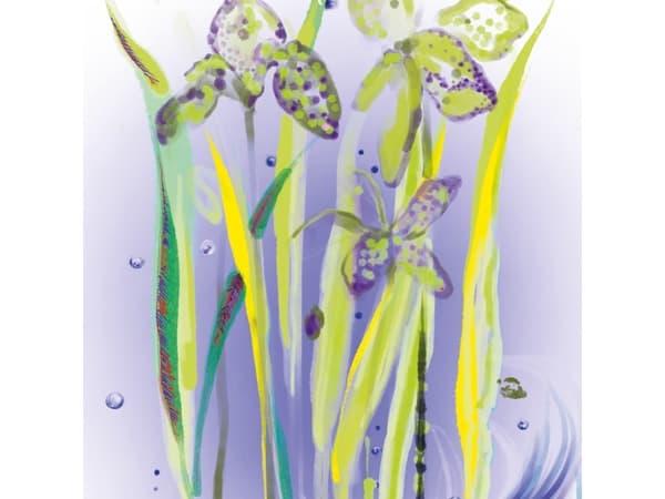 SISLEY LEAU REVEE DALMA EAU DE TOILETTE 50ML