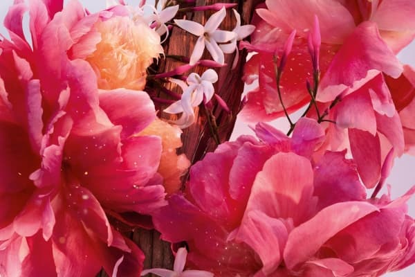 Dior Dior Miss Dior Parfum 80ml.