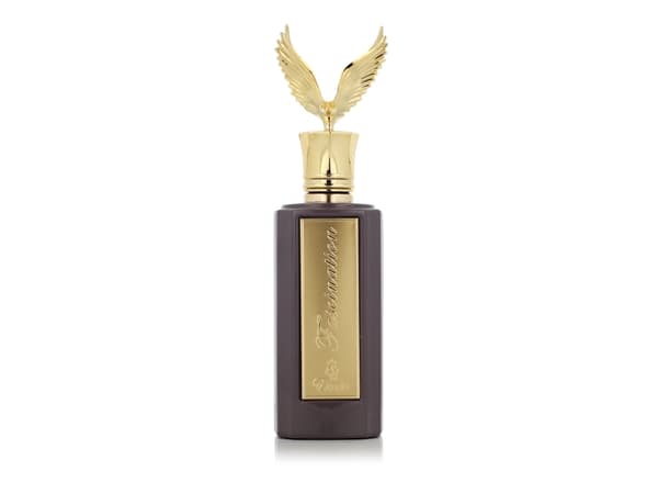 Paris Corner  Emir Fascination EDP U 100 ml
