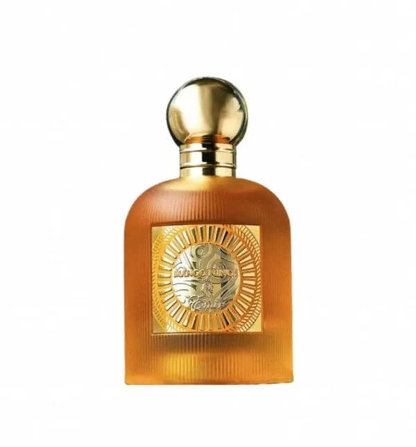 Paris Corner - Emir Mango Punch EDP U 100 ml