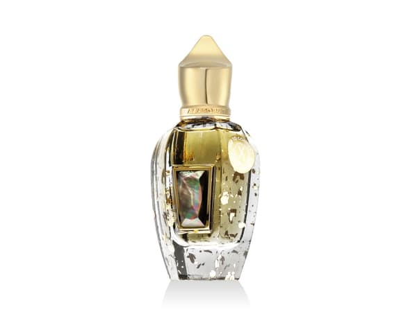 Xerjoff 17/17 Homme Anniversary Parfum 50 ml (man)