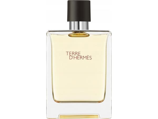 HERMES Terre D'Hermes EDT spray 100ml