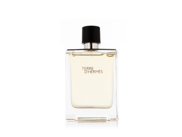 HERMES Terre D'Hermes EDT spray 100ml